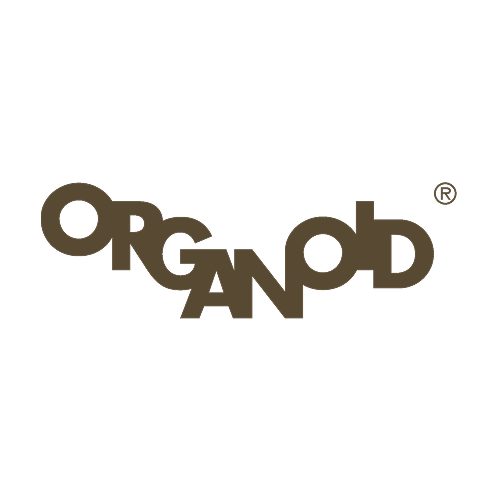 Organoids
